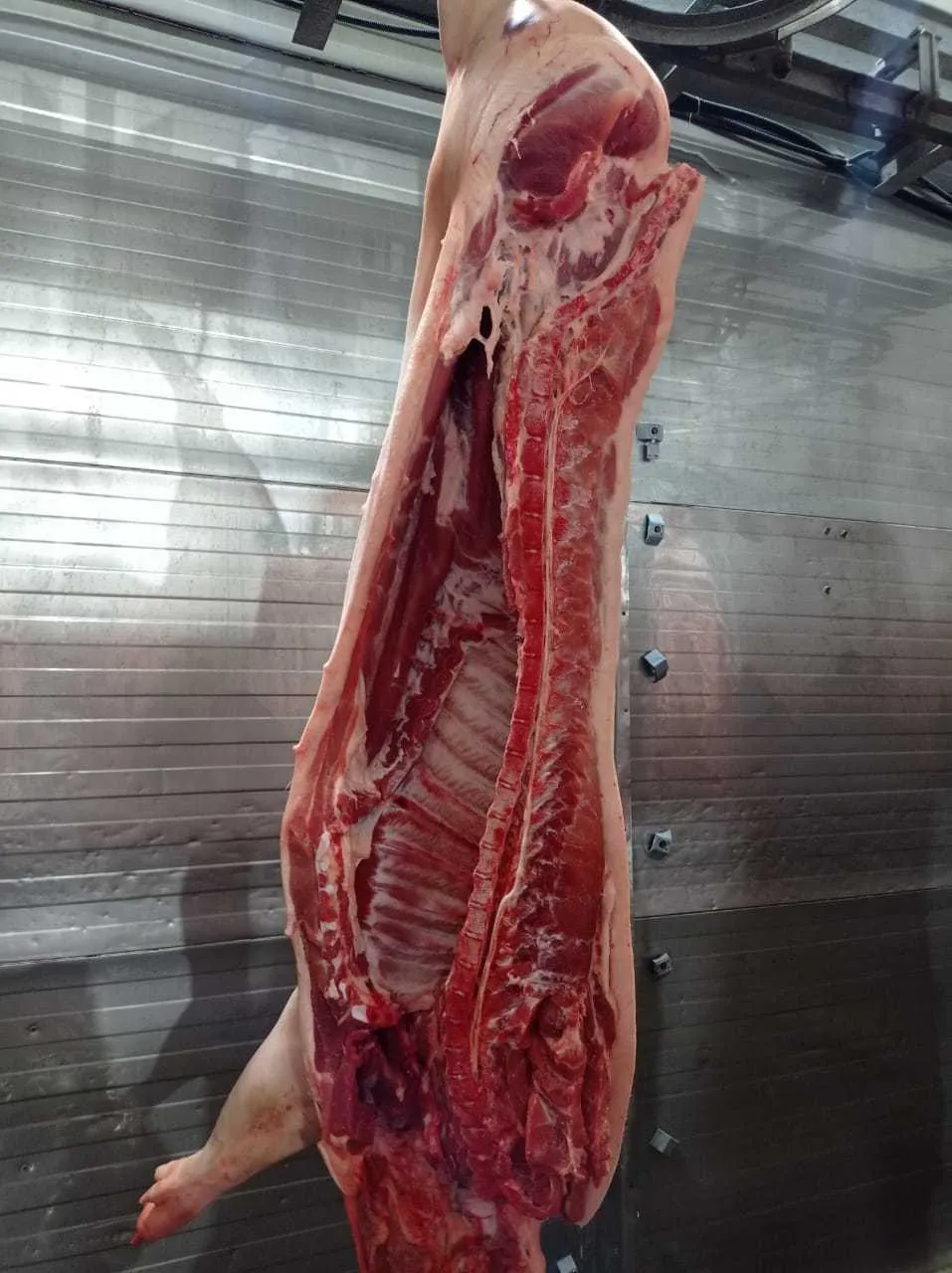  свинину охлажденную 194 руб. кг. в Владивостоке 4