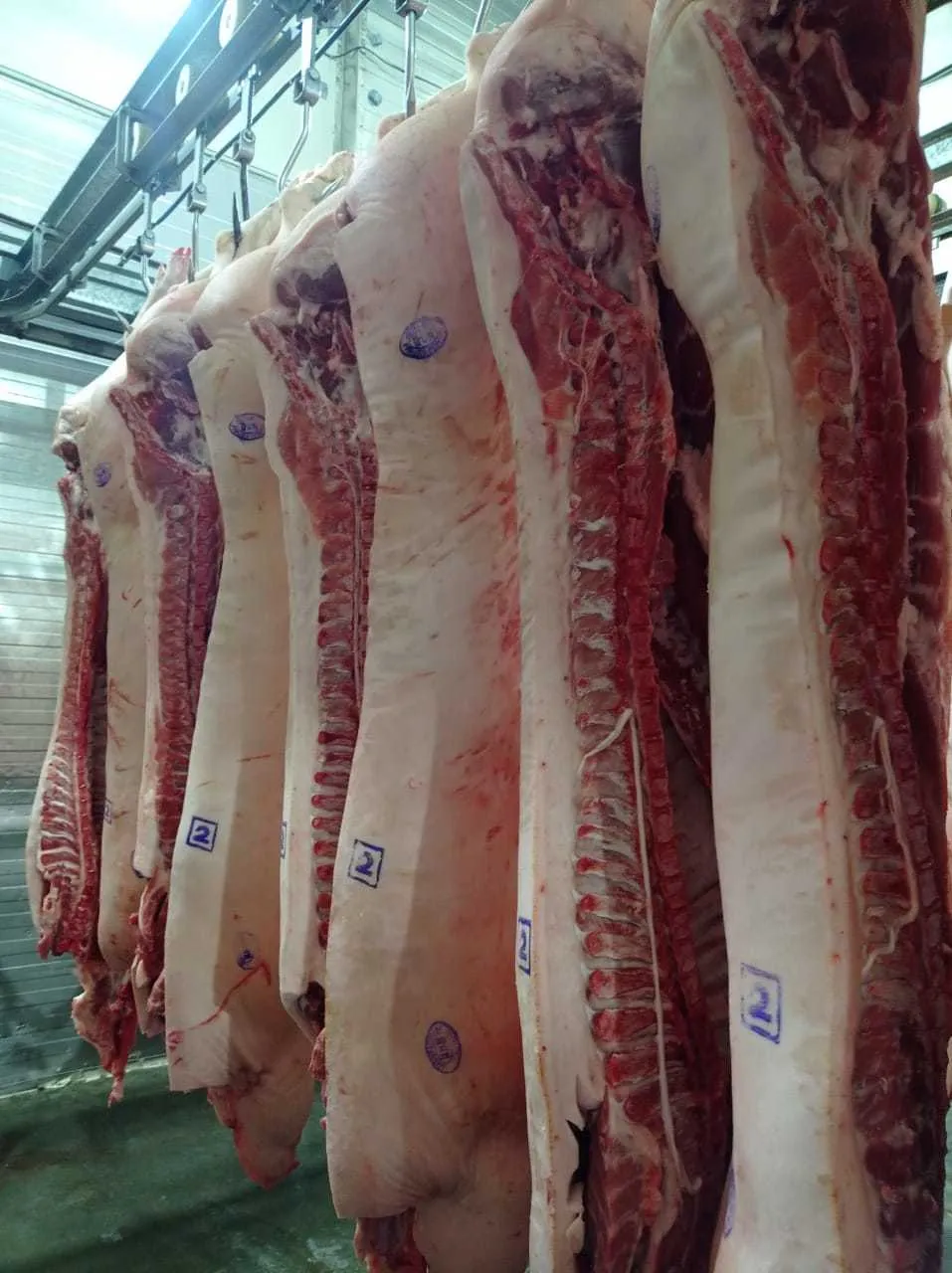  свинину охлажденную 194 руб. кг. в Владивостоке 3