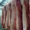  свинину охлажденную 194 руб. кг. в Владивостоке 3