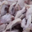 Производство куриного мяса в Приморском крае увеличилось в 2,2 раза
