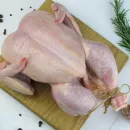 В Приморье в мясе импортной курицы обнаружили опасные бактерии