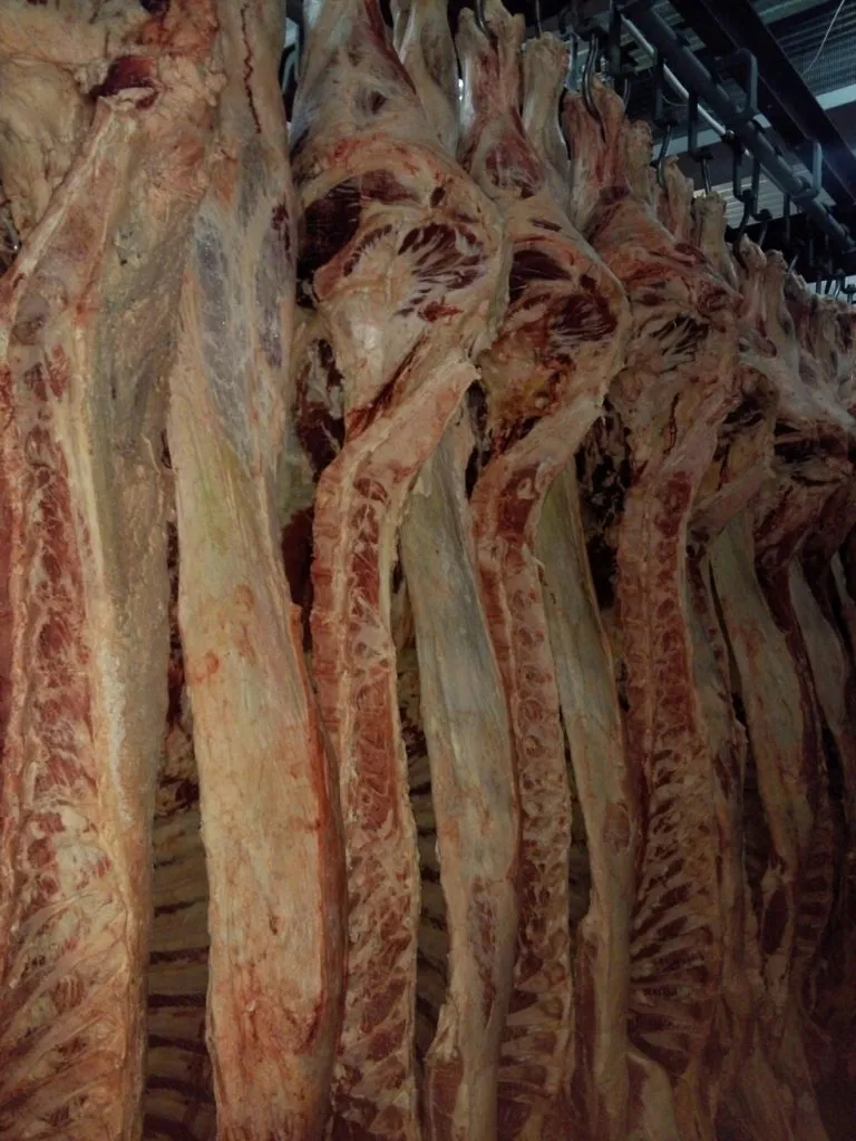 фотография продукта Мясо корова охлажд.